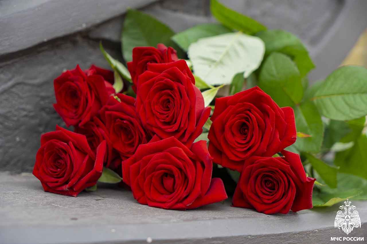 Памятное мероприятие на Аллее Славы Спасателей 