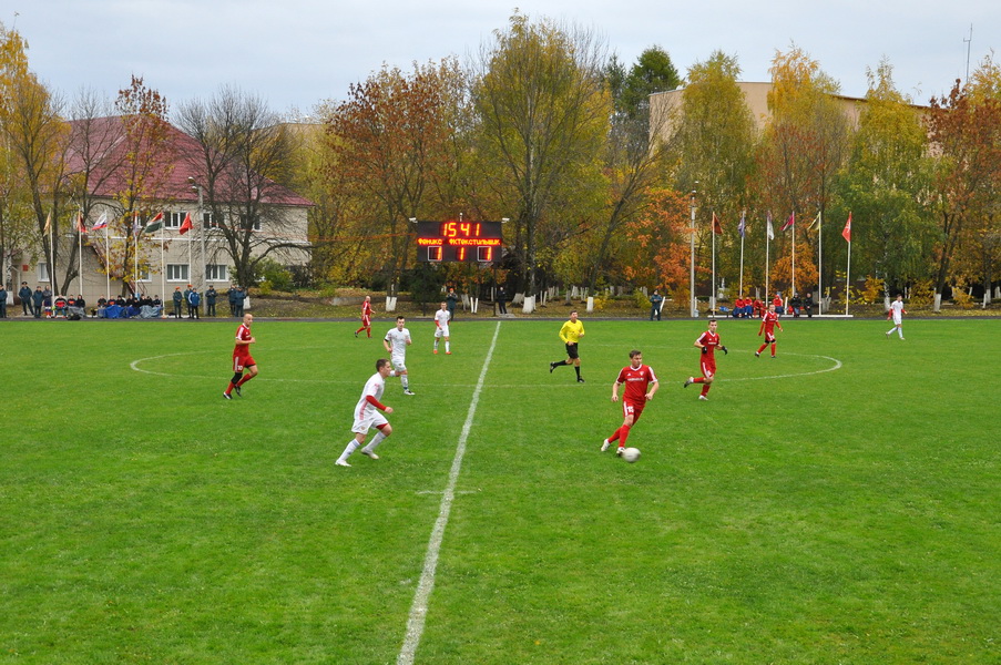 Товарищеский матч по футболу.
